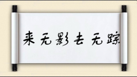 来无影，去无踪图片