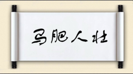 马肥人壮图片