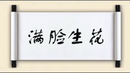 满脸生花图片