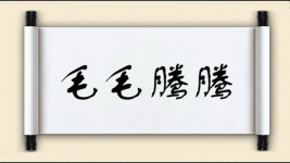 毛毛腾腾图片