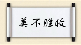 美不胜收图片