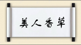美人香草图片