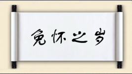 免怀之岁图片