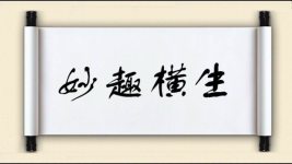 妙趣横生图片