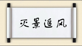 灭景追风图片