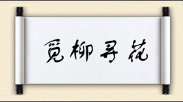 觅柳寻花图片