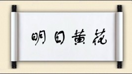 明日黄花图片