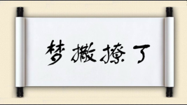梦撒撩丁图片