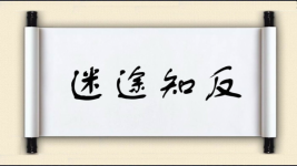 迷途知反图片