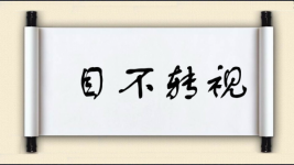 目不转视图片