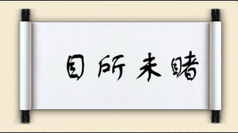 目所未睹图片