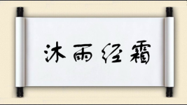 沐雨经霜图片
