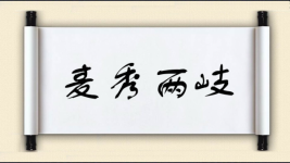 麦秀两岐图片