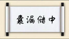 囊漏储中图片