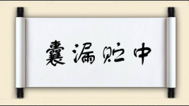 囊漏贮中图片