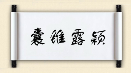 囊锥露颖图片