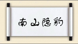 南山隐豹图片