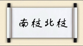 南枝北枝图片