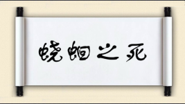 蛲蛔之死图片