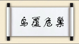 鸟覆危巢图片