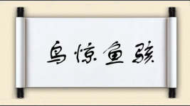 鸟惊鱼骇图片