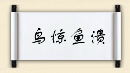 鸟惊鱼溃图片