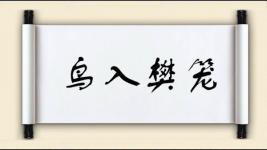 鸟入樊笼图片