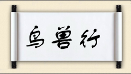鸟兽行图片