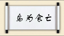 鸟为食亡图片