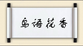 鸟语花香图片