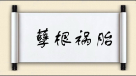 孽根祸胎图片