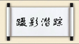 蹑影潜踪图片