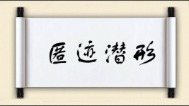 匿迹潜形图片
