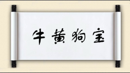 牛黄狗宝图片