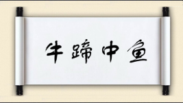 牛蹄中鱼图片