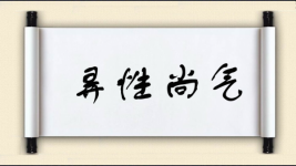 弄性尚气图片