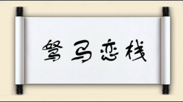 驽马恋栈图片