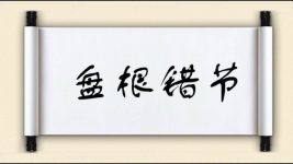 盘根错节图片