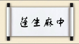 蓬生麻中图片