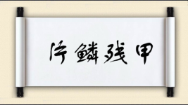 片鳞残甲图片