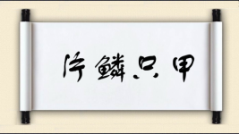 片鳞只甲图片