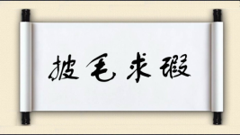 披毛求瑕图片