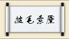 披毛索黡图片
