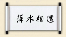 萍水相遭图片