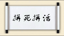 拼死拼活图片