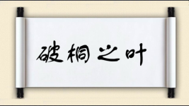 破桐之叶图片