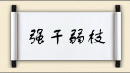 强干弱枝图片