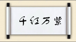 千红万紫图片
