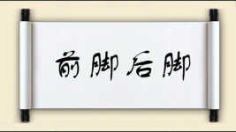 前脚后脚图片