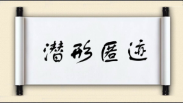 潜形匿迹图片